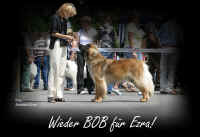 Ezra-BOB-Dresden.JPG (107517 Byte)