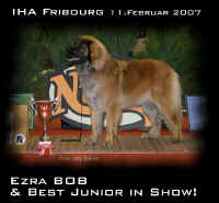 EzraBIS-Junior.JPG (84116 Byte)