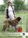 Bambina-Dreiburgenland.JPG (94941 Byte)