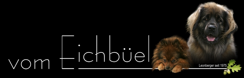 Logo Eichbüel