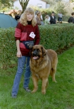 Weitere Fotos